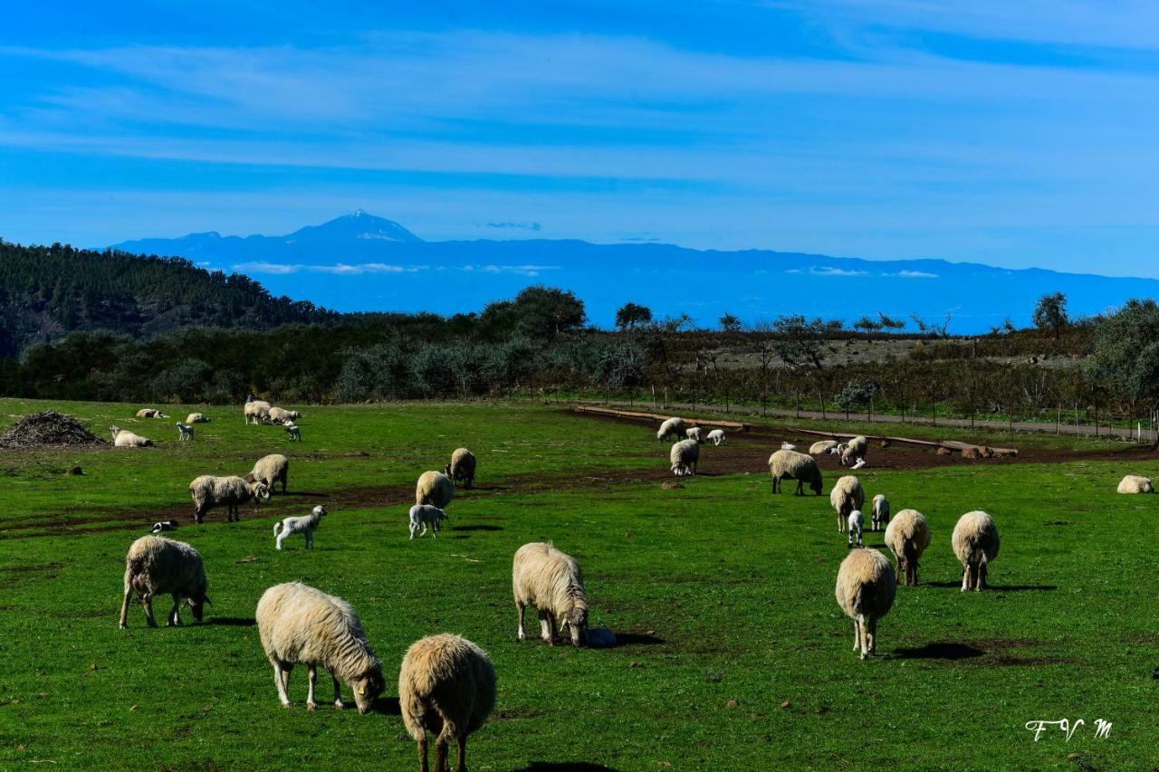 Casa Rural Zalemy San Pedro  Bagian luar foto